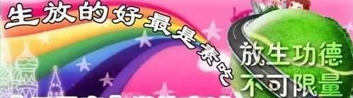 Kaiyun官方网站-"部长通道""代表通道"热议生态环境保护(图1) Kaiyun官方网站