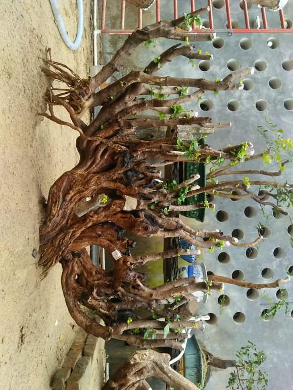 农产物的包装设计对产物销售的提升有多大?-kaiyun官网入口(图4) kaiyun官网入口