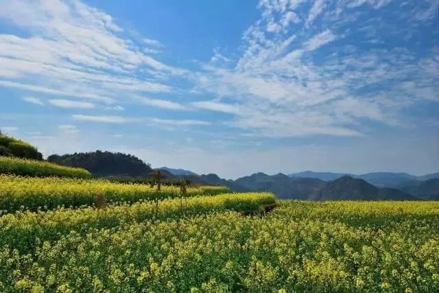 开云kaiyun官方网站-
全县学校宁静治理干部现场培训会在中山校举行(图3) kaiyun官网入口