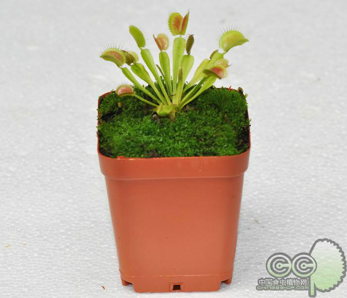 开云kaiyun官方网站