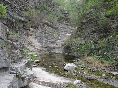 开云kaiyun官方网站