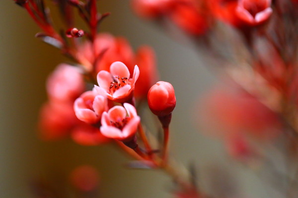 ‘Kaiyun官方网站’“广东打好污染防治攻坚战”报道：保卫广州蓝，重焕河涌绿