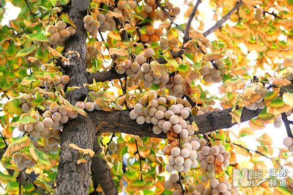 开云kaiyun官方网站