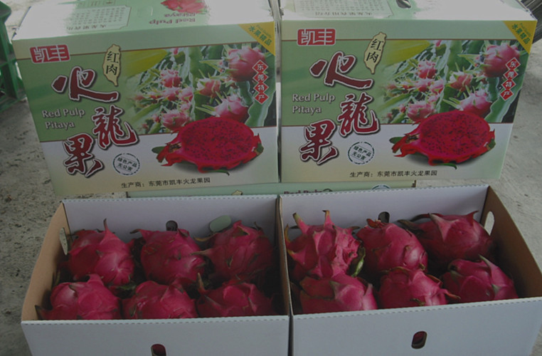 开云kaiyun官方网站