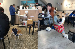 开云kaiyun官方网站