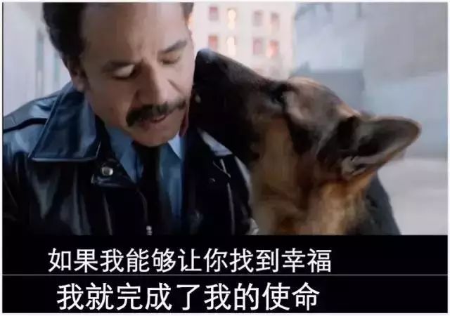 Kaiyun官方网站_美丽中国·我是行动者|绿色人物(单位)事迹展播——董跃奋:热心环保事业的行动者(图1) kaiyun官网入口