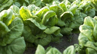 Kaiyun官方网站-环保“回头看”要盯紧“表面光”(图1) Kaiyun官方网站