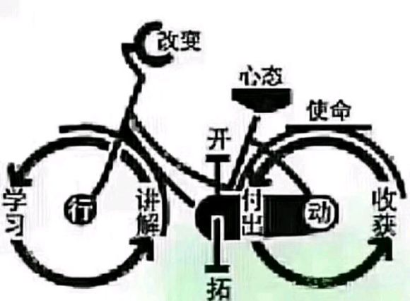 开云kaiyun官方网站|珊瑚修复利弊几何？