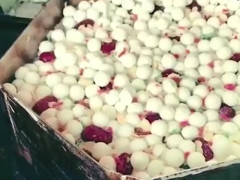 ‘开云kaiyun官方网站’
加大侵权羁系力度 PP体育公布欧冠联赛版权权利声明(图1) Kaiyun官方网站