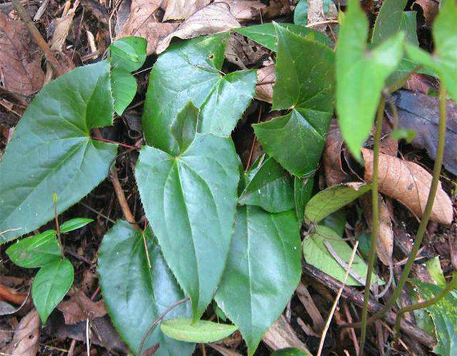 ‘开云kaiyun官方网站’
加大侵权羁系力度 PP体育公布欧冠联赛版权权利声明(图4) 开云kaiyun官方网站