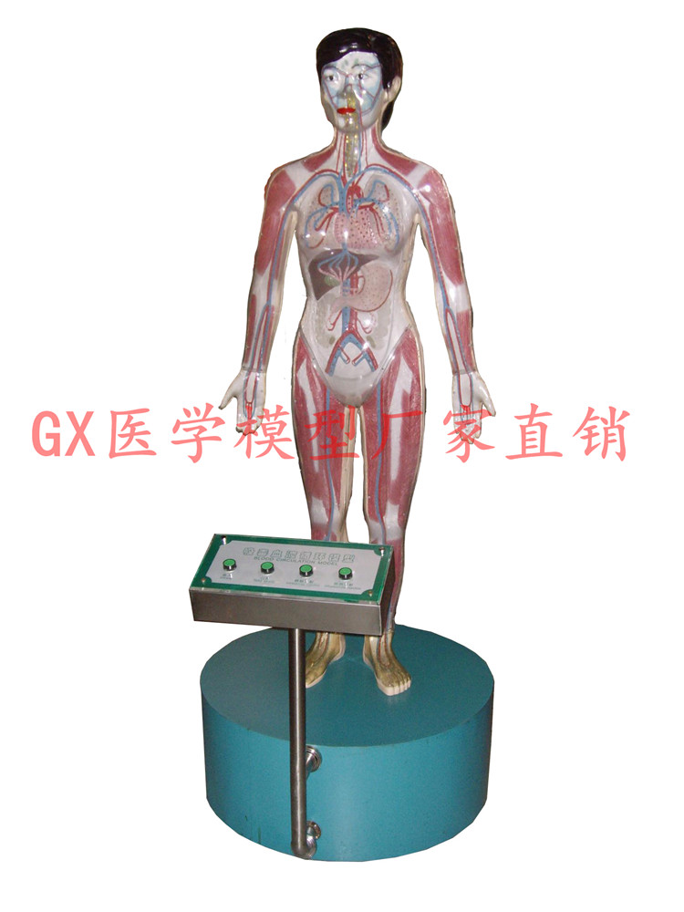 “kaiyun官网入口”
全军淹没 英超近5年首次无缘欧战决赛 争世界第一联赛任重道远(图4) kaiyun官网入口