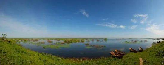 开云kaiyun官方网站-
数量居全国之首！黑龙江新增一处国际重要湿地(图5)