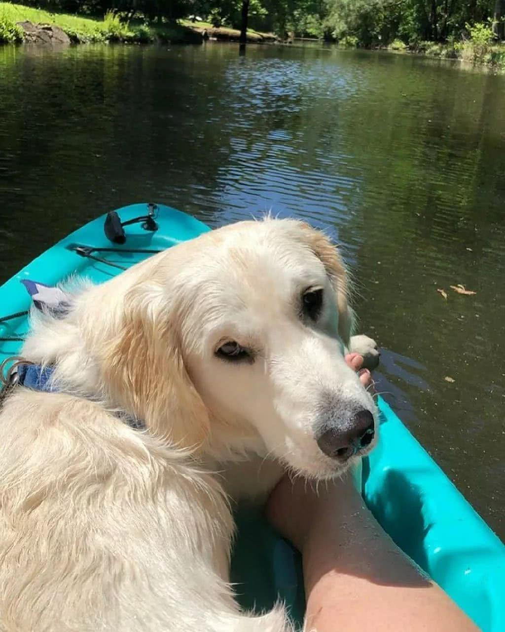 Kaiyun官方网站-今晚!马布里率队大战CBA总冠军球队,亚洲第一中锋全力阻击(图1) Kaiyun官方网站