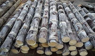 “Kaiyun官方网站”法国哪个小开发公司比较好?可靠的小型法国开发公司有这四个特点(图1) 开云kaiyun官方网站