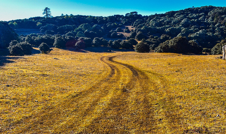 kaiyun官网入口_2017欧冠夺冠赔率:巴萨力压皇马拜仁飙升第一(图2) kaiyun官网入口