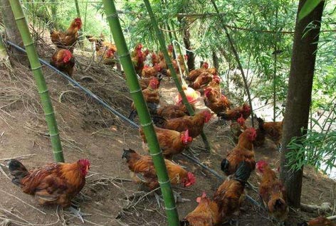 开云kaiyun官方网站