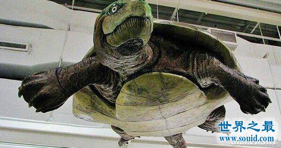 开云kaiyun官方网站