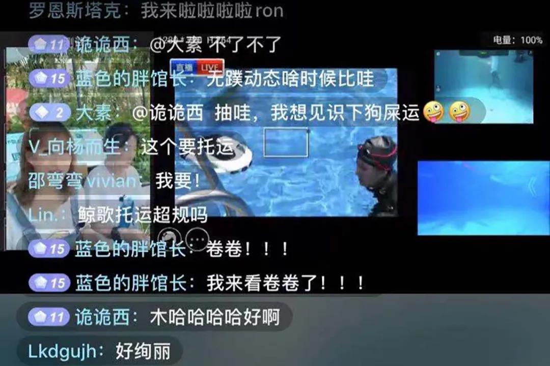 “开云kaiyun官方网站”
水下直播(图25)