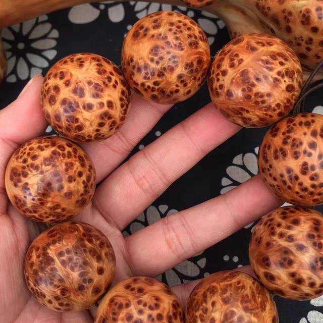 开云kaiyun官方网站