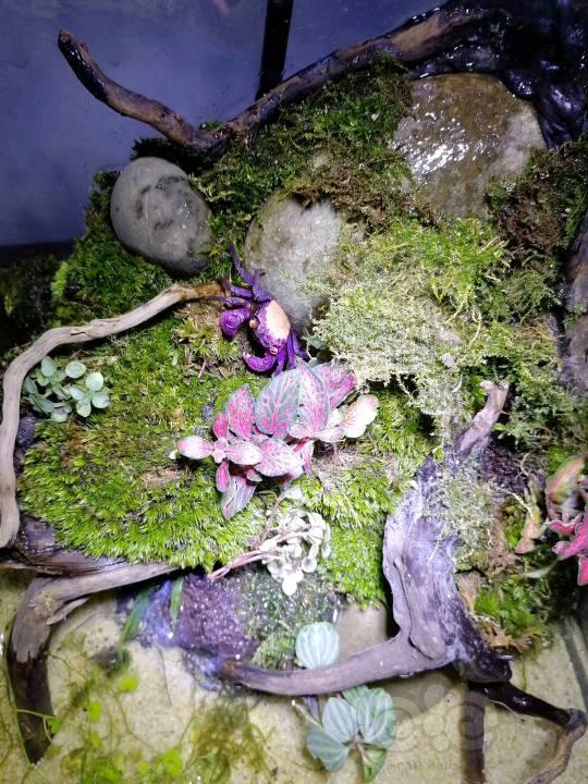 *
NYU就业率怎么才20% MIT金融工程专业未进入排名？“开云kaiyun官