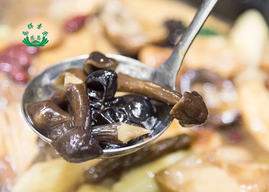 开云kaiyun官方网站